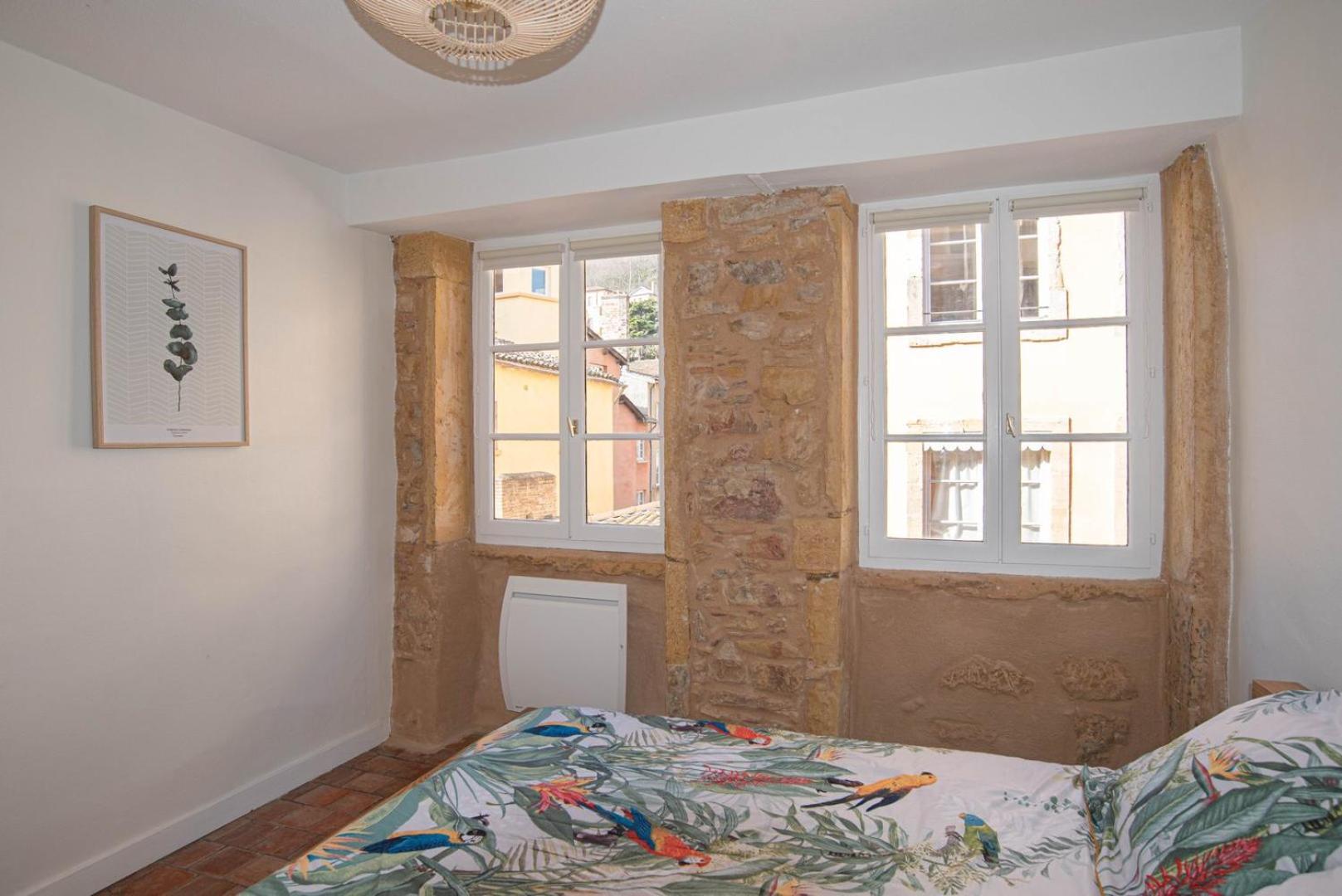 里昂Moderne Et Cosy Au Coeur De Saint-Jean Ail公寓 外观 照片